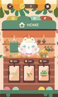 猫猫跳