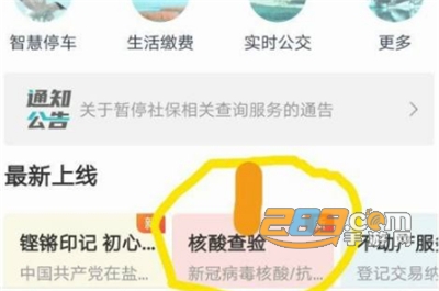 我的盐城app查核酸检测结果