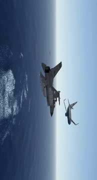 Infinite FlightAPP