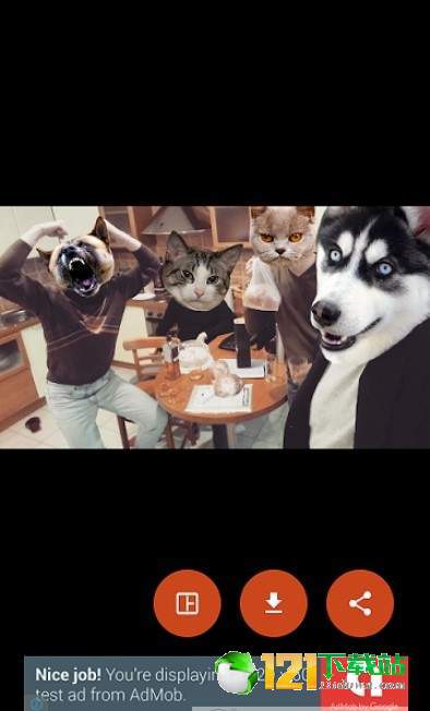 Animal StickersAPP