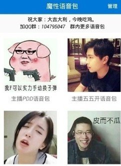 绝地求生变声器手机版APP