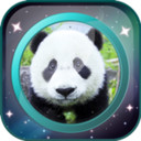 我的前世今生APP