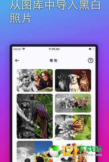 colorizeAPP
