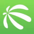 金德意油脂appv0.0.12官方版