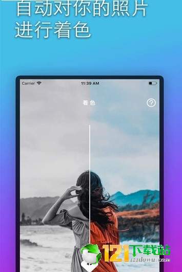 colorizeAPP