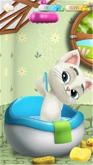 会说话的猫APP