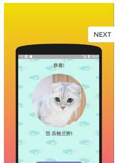 你是什么样的猫APP