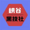 峡谷黑科技软件下载2022最新版v1.0安卓版
