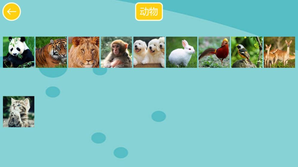 天天开心拼图HDAPP