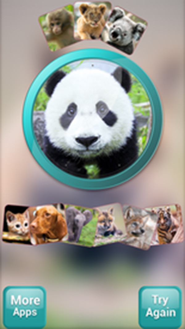 我的前世今生APP
