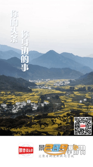 景德镇头条新闻手机客户端v2.5.12安卓版