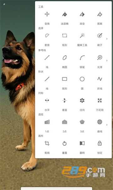 无限绘画Painter专业版中文版v6.6.1 安卓版