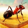 小小蚁群Little Ant Colony汉化最新免费版v3.4.1最新版