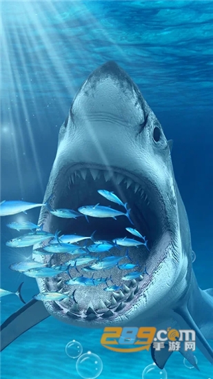 Live Wallpapers 3D(个性3D壁纸)v1.0安卓版