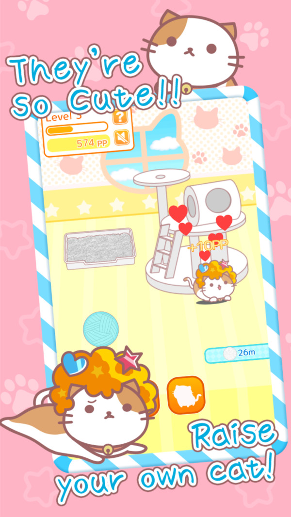 爆炸头猫app