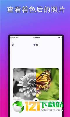colorizeAPP