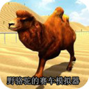 野骆驼的赛车模拟器APP