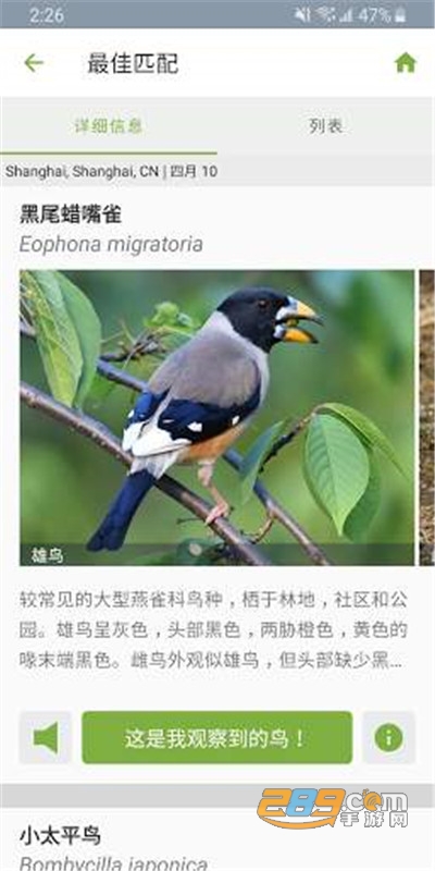 Merlin鸟类照片识别app下载最新版v2.0.3官方安卓版