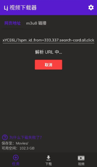 Lj视频下载器