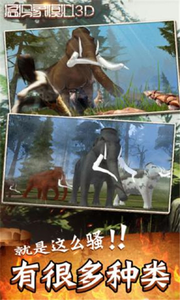 猛犸象模拟3D无限疲劳