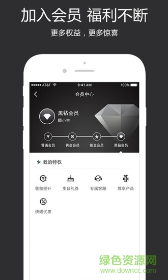 顺丰金融