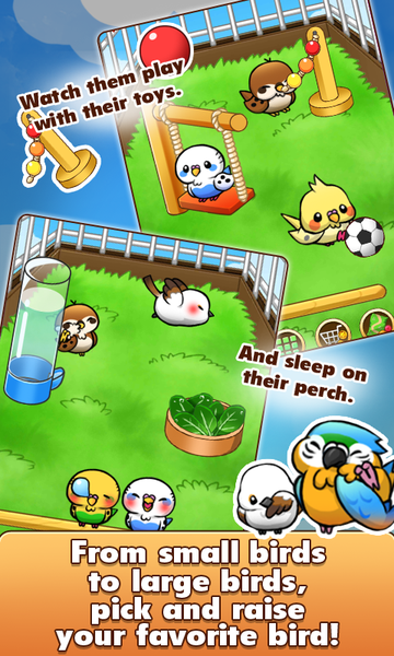 Bird Life(鸟鸟人生游戏)v1.6.11最新版