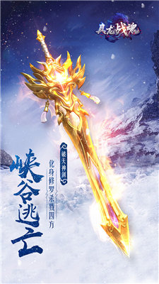 真龙战魂版