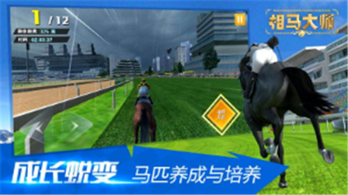 相马大师手游v1.0官方版