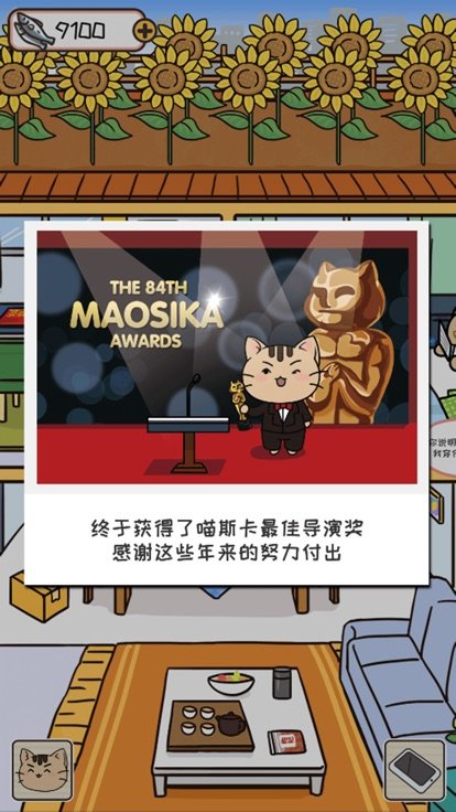 离家的猫养个猫儿子
