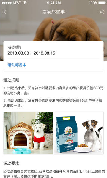 犬易appv3.2.0