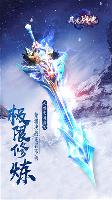 真龙战魂版