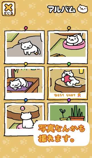 猫咪庭院