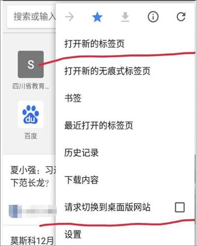 谷歌浏览器中文版