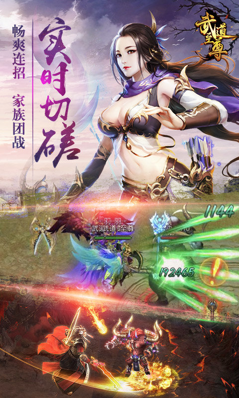 武道至尊BT版