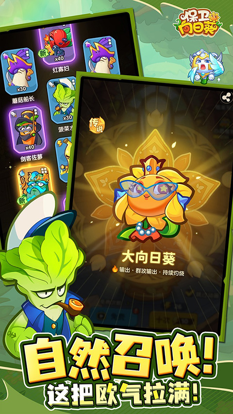 向日葵
