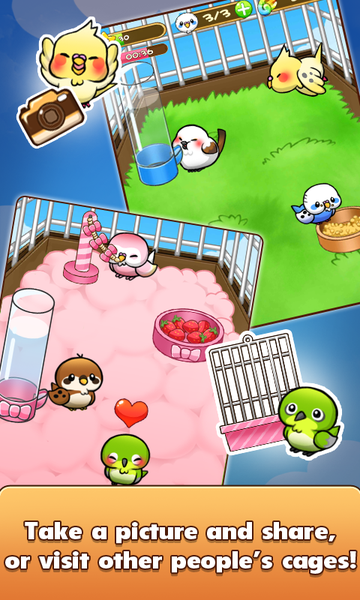 Bird Life(鸟鸟人生游戏)v1.6.11最新版