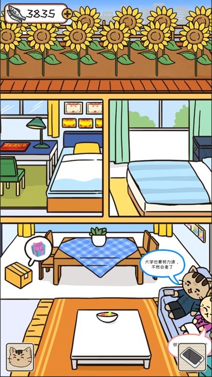 离家的猫养个猫儿子