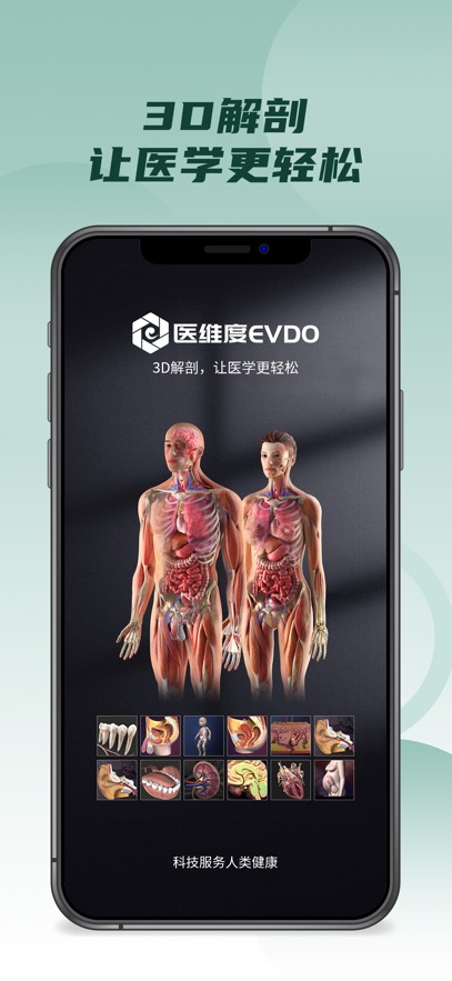 医维度解剖