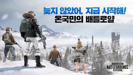 韩国吃鸡