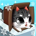 盒子里的猫正式版