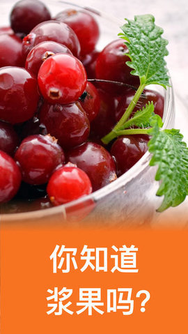 水果蔬菜浆果