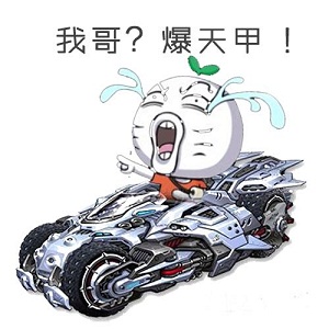 qq飞车暴走表情包图片手机版