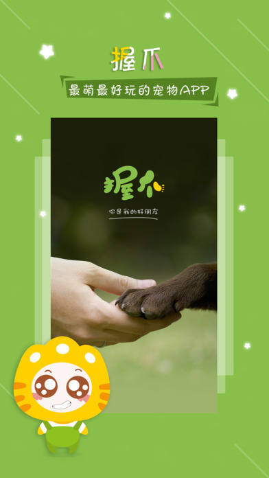 握爪宠物