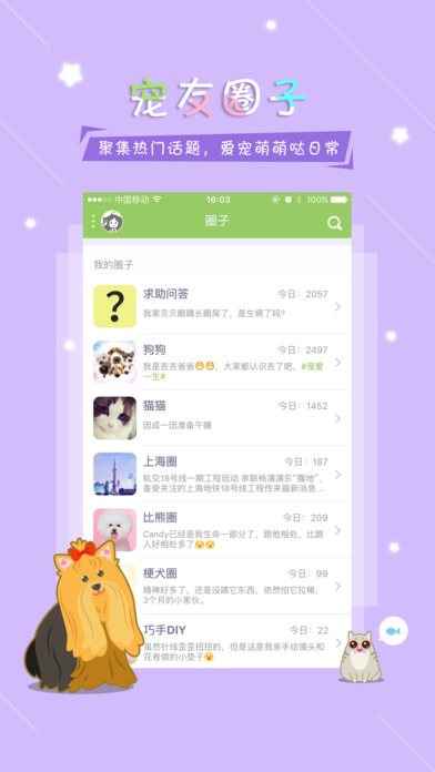 握爪宠物
