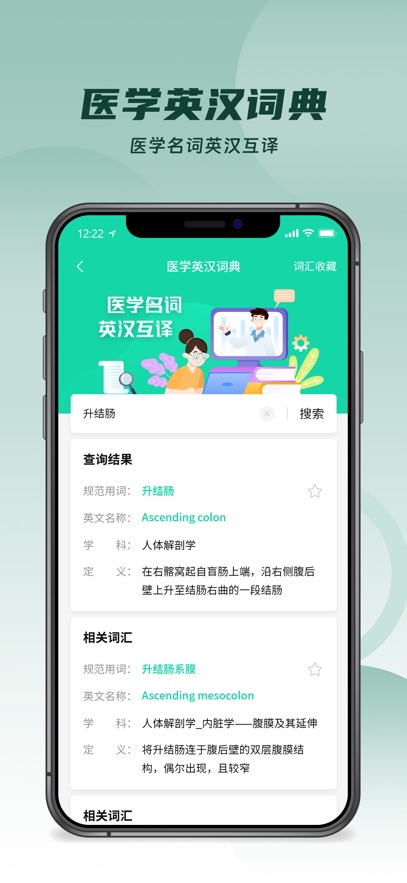 医维度解剖
