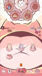 云撸猫咪