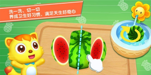 水果拼盘猫小帅