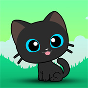 超绝小猫咪