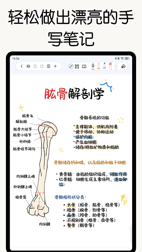 自由笔记官方正版