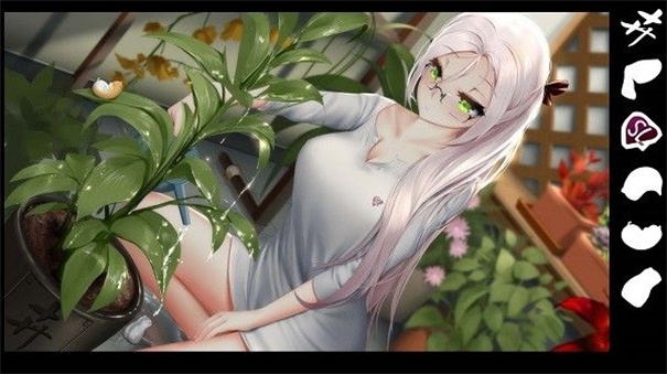 我的镜头人生